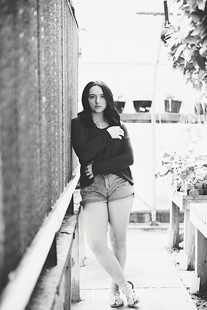CLP_4933