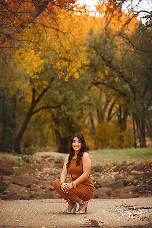 CLP_0233
