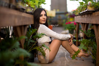 CLP_0919