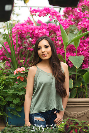CLP_0993